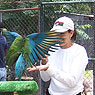 Bird Training Workshops